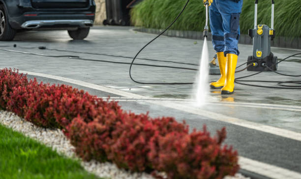 Best Roof Power Washing Services  in Magnet Cove, AR