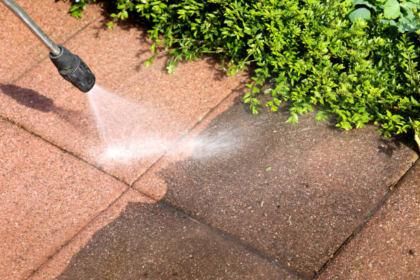 Best Garage Pressure Washing  in Magnet Cove, AR